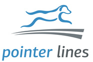 Pointer Lines, SIA