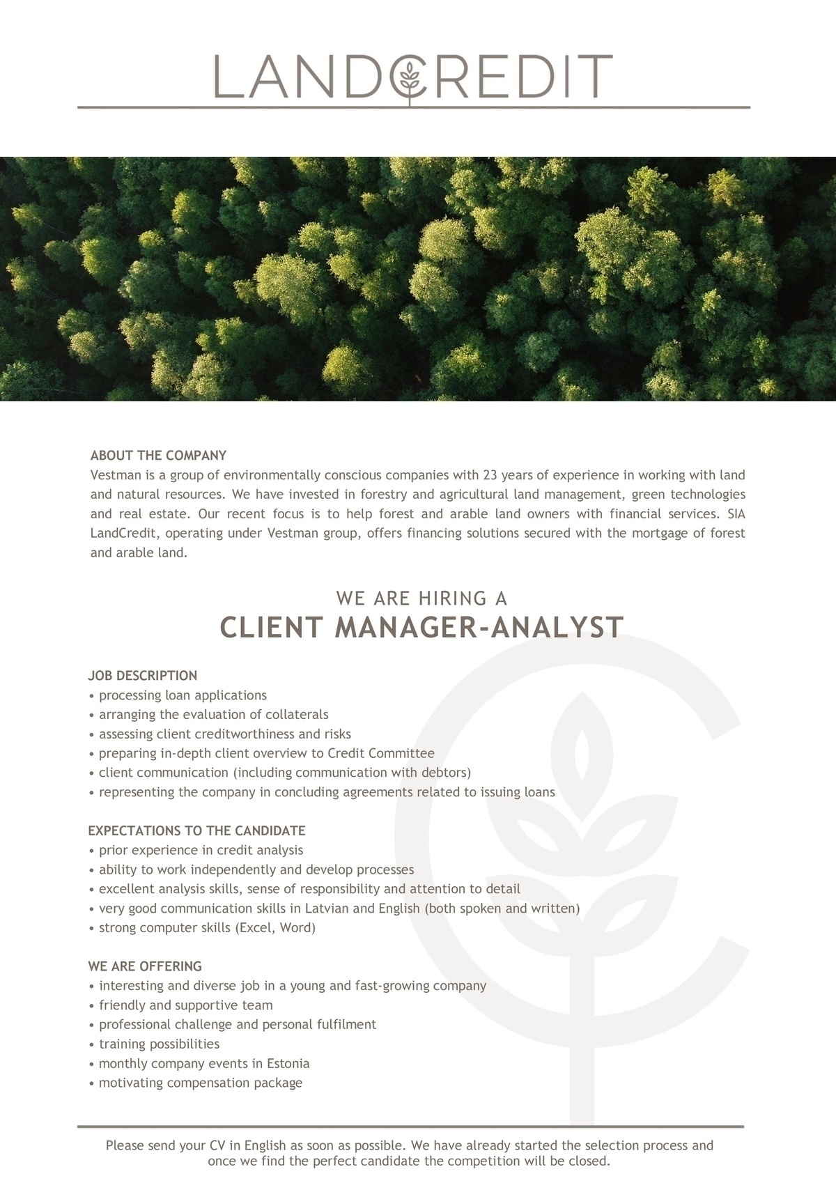 CV Market client Client Manager - Analyst