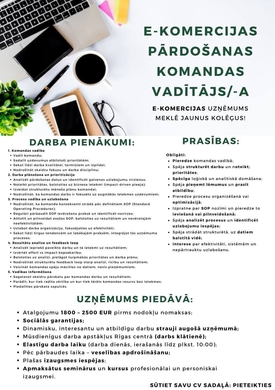 Ozo Brothers, SIA E-komercijas pārdošanas komandas vadītājs/-a