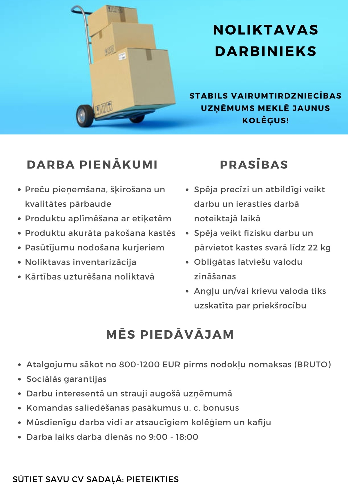 Ozo Brothers, SIA Noliktavas pārzinis/-e
