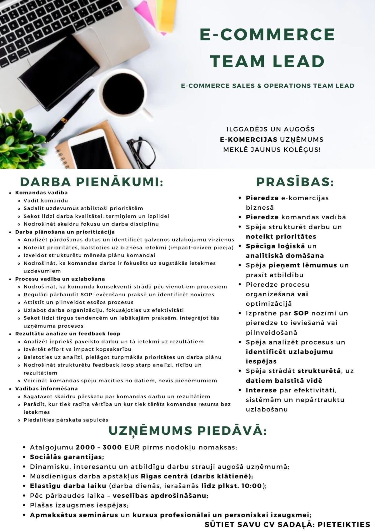 Ozo Brothers, SIA E-komercijas pārdošanas komandas vadītājs/-a