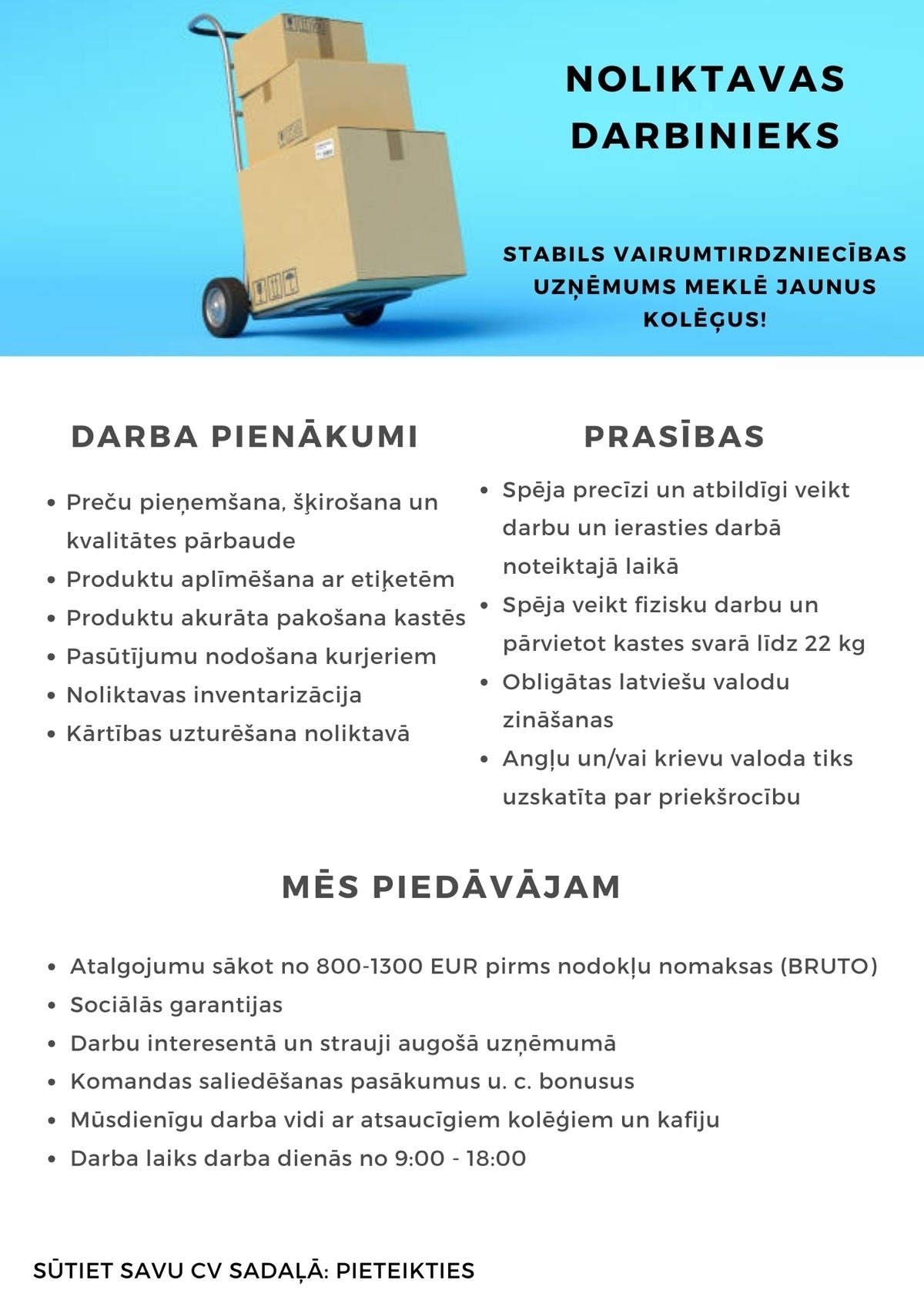 Ozo Brothers, SIA Noliktavas pārzinis/-e