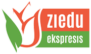 Tirdzniecības zāles darbinieks/-ce Mājai, Dārzam, Svinībām nodaļā
