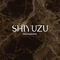 SHIYUZU, SIA darba piedāvājumi
