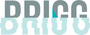 BRIGG HR PARTNER SIA darba piedāvājumi
